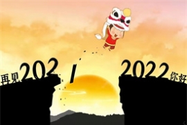 Ҋ20212022